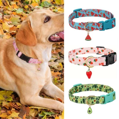 Fruit Pattern Pet Dog Collar Pet Collar With Fruit Metal Pendant Simple Fashion - Image 1 of 4