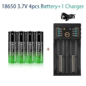 Lote de baterías recargables de iones de litio con botón superior de 3,7 V 9800 mAh y cargador USB de 2 ranuras - Imagen 1 de 15