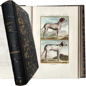 1798 BUFFON, SONNINI QUADRUPÈDES Vol. 2 (26 Hand-Colored Engravings, Many Dogs!) - Picture 1 of 10