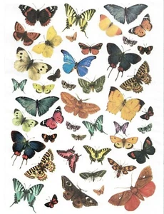 Reispapier Decoupage Scrapbook Bastelblatt Schmetterlinge 144 - Bild 1 von 1