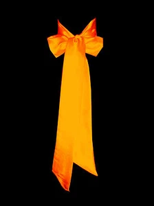 NEONORANGE Satin Brautkleid Party Band Schärpe Gürtel Bindeband Brautjungfer Schleife - Bild 1 von 11