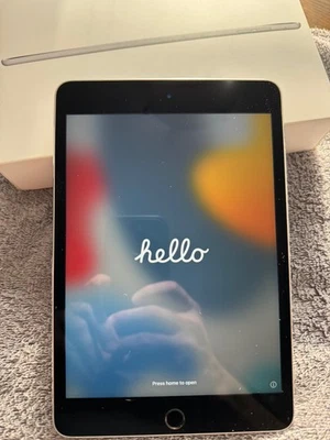 Nuevo Otro Apple iPad Mini 4ta Generación, 128 GB Almacenamiento WIFI Solo Espacio G A1538 Foto 1 de 4