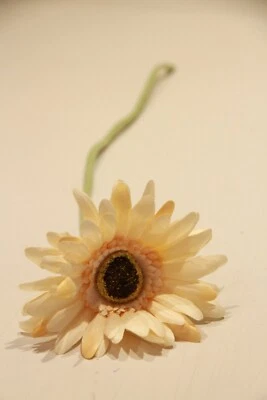 Blume Gerbera cremefarbene Blüte 41 cm Kunstblume - Bild 1 von 4