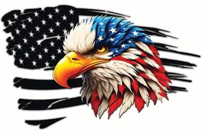 Black Worn Flag Patriotic Eagle Head Decal - Picture 1 of 9