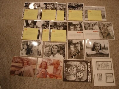 Lot Born Free 1974 TV Series promo photos &paper ephemera 19 pieces NBC original - Image 1 of 4