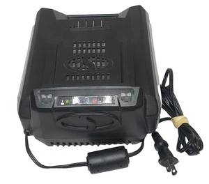 Snow Joe + Sun Joe iON100V-RCH 100-Volt Rapid Charger for iON100V 🔥 - Picture 1 of 7