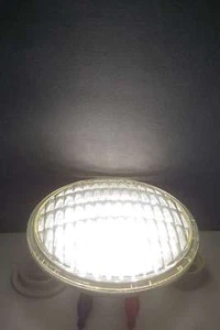 2 x LED Landscape Lighting Bulbs PAR36 12V Flood Lamp, 6W 9W, LENs,Sealed Beam - Picture 1 of 13
