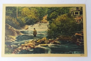Bonita postal vintage con tema de pesca rural de la década de 1940 - Imagen 1 de 2
