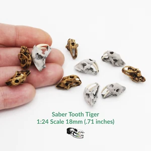 Saber Tooth Tiger Skull - 1:24 scale replica miniatures dollhouse (5 skulls) - Picture 1 of 5