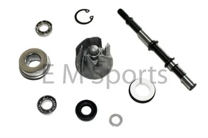 Chinese Go Kart Buggy 250cc 300cc Water Pump Kit Engine Motor Parts - Picture 1 of 1