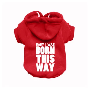BABY I WAS BORN Sudadera Roja para Perro - Suéter para Perro - Jersey para Perro - Imagen 1 de 28