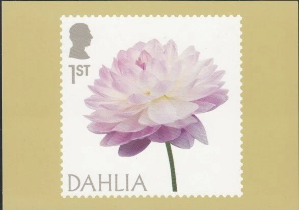 Tarjeta PHQ de GRAN BRETAÑA Flowers Dahlia Royal Mail Foto 1 de 1