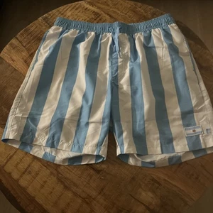 Tipsy Elves seltene Badehose mit Argentinien Flagge Top Zustand - Bild 1 von 11