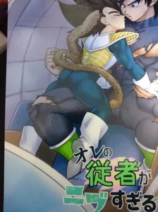 Dragon Ball Doujinshi Broly x Vegeta (A5 52 páginas) ore no jyusya ga nibusugiru - Imagen 1 de 4