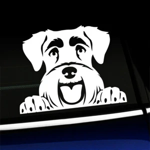 Peeking Schnauzer - Cute Dog Sticker Decal - You choose the color - Foto 1 di 26