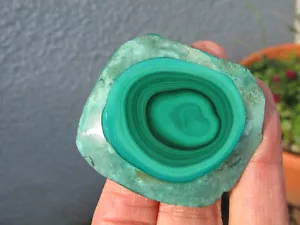 Malachite Crystal Freeform Slice healing business success natural polished AA - Picture 1 of 24
