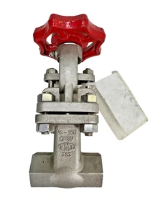 Válvula de compuerta ALOYCO 110S 3/4" NPT Clase 150 CF3M Acero Inoxidable, Rueda de Mano Op. - Imagen 1 de 16