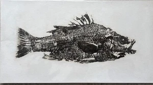 Original Gyotaku Fish Print - Original on Rice Paper Mounted On Artist Paper - Picture 1 of 2