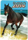 Portefeuille de poche MER Calendrier  HORSE ÉTALON POULAIN MARE PONY 2014 Ukraine #07