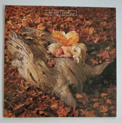 Tarjeta en blanco Anne Geddes "Woodland Fairy", Portal Publications, sin usar Foto 1 de 2