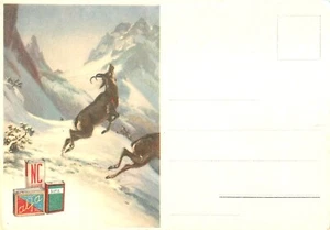 HUNTING, GUNS, AMMUNITION AD FROM ITALY, VINTAGE POSTCARD (U173) - Picture 1 of 2