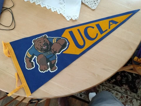 UCLA Bruins Pennant, 11.5 x 29.5" Cover