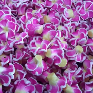 Arcilla de polímero Hmade flor 3D, orquídea, 15x8 mm, 20 piezas, vendedor gratuito por correo de oz - Imagen 1 de 3