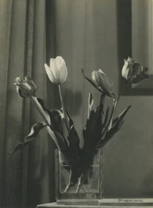 Pierre PORTELETTE, dit Pierda (1890-1971). Tulipes dans un vase. 1949. - Picture 1 of 3
