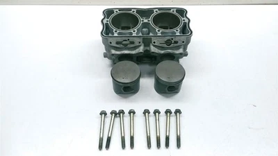 2014 Polaris Switchback Assault 800 Engine Cylinder Jug Twin Monoblock 3022449 - Image 1 of 4