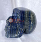 Lapis Lazuli Cranium Skull Handmade Arts Relistic Sculpture Decor G031