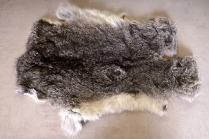 Schönes graues Hasenfell Länge: 52cm Rabbit Fur - Bild 1 von 2
