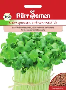 BIO Keimsprossen Daikon Rettich Samen Scharf Sprossen Microgreens Salat Gemüse - Bild 1 von 1