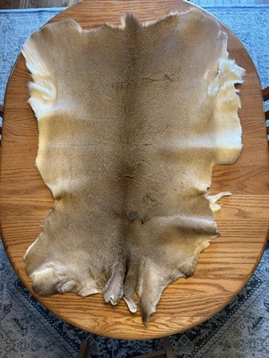 Deerskin Hair On Hide Full Deer Hide Soft Rug Pelt Fur Large Cabin Decor Craft  Foto 1 de 4