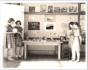 Vintage 1950s B&W Photo Girl Scouts Examining Sea Shells Clark School Cheynne WY - Picture 1 of 2