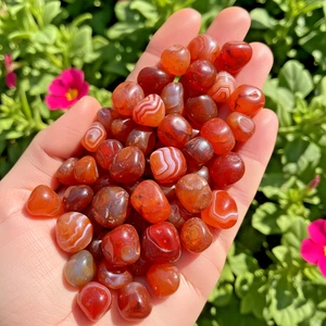 10pcs 0.5-1''Carnelian Tumbled Stone Red Agate Polished Stone Healing Crystal - Picture 1 of 4