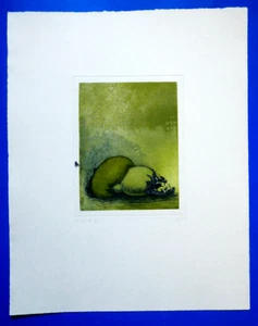 Maurilio Minuzzi, Der tote Pilz, Farbradierung, handsigniert, 36/100, 1971 - Bild 1 von 4