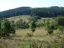 Grundstück (Erholung, Landwirtschaft, Bauland) 8,5 ha