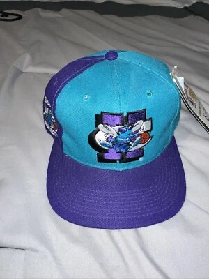Nuevo sombrero vintage Charlotte Hornets deportes especialidades con guión trasero SnapBack  Foto 1 de 4