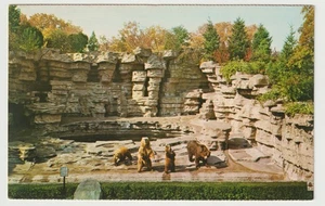 Mike Roberts Detroit Zoo Royal Oak Michigan Kodiak Bären Postkarte - Bild 1 von 2