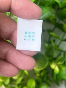 0.125 CARAT BRAZIL Natural Paraiba Tourmaline - 1-1.5mm 9pc’s loose Gemstones - Picture 1 of 6