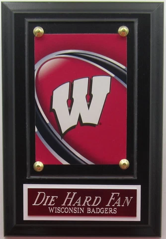 DIE HARD FAN WISCONSIN BADGERS LOGO CARD PLAQUE WITH EASEL FOR YOUR MAN CAVE Cover