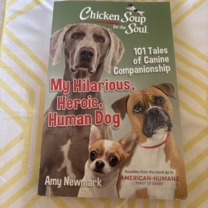 Hühnersuppe für die Seele 101 Geschichten von Hunden Begleitung - Bild 1 von 10