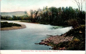 1908 New York Postcard Susquehanna River near Main Street Bridge Oneonta NY - Picture 1 of 2