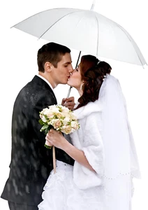20 Pack Wedding Umbrellas with J Hook Handle Windproof Stick Umbrellas Large Bub - Picture 1 of 6