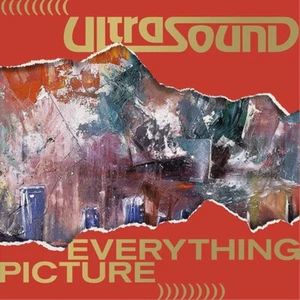 Ultrasound Everything Picture (Vinyl) Deluxe 12" Album Box Set with CD - Bild 1 von 1