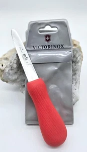 Victorinox 4'' Stainless Steel Boston Style Oyster Knife 7.6399.5 - Picture 1 of 14