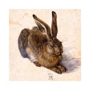 Albrecht Durer, Young Hare, 1502, Canvas Print, 24" x 24" + Border - Picture 1 of 10