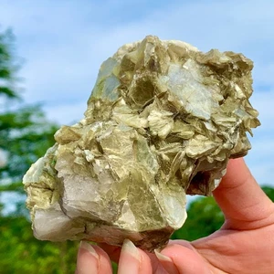 364G Natural Dorado Mica Cristal Racimo Mineral Sanación Roca Muestra Visualización - Imagen 1 de 24