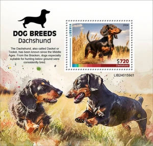 Dog Breeds Dachshund MNH Stamps 2024 Liberia S/S - Picture 1 of 1