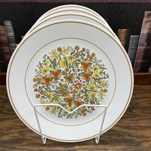 Vtg Corelle Indian summer 10 1/4” Dinner plate 4pc Set USA - Picture 1 of 9